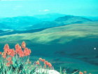 Moco 2620m, highest mountain of Angola