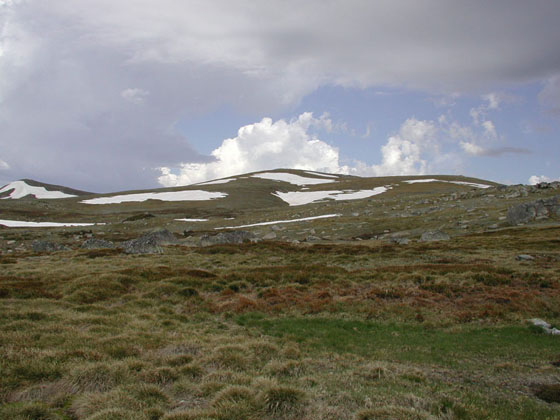 Mount Kosciuszko in the Summer