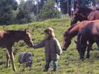 little girl on a Pferdefarm in Austria