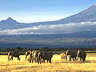 Mont Tanekas 641m, highest mountain of Benin