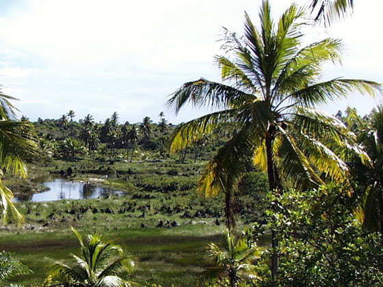 Costa do Sauipe