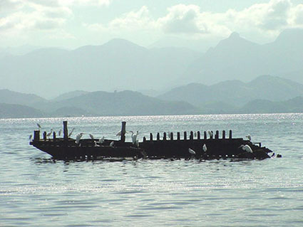Pictures of Sao Goncalo
