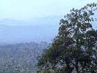 Cardamom Mountains