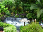 Tabaco Hot Springs