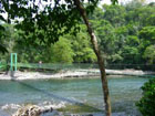 Selva Verde