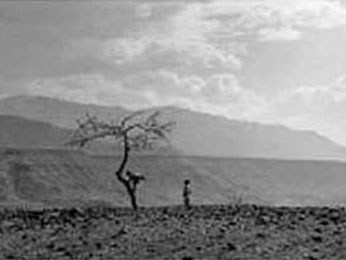 Landscape of Ethiopia