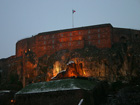 Belfort Statue de Lion