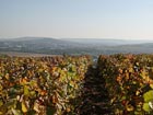 View on Epernay