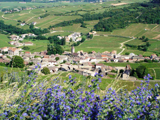 Macon les Vignobles