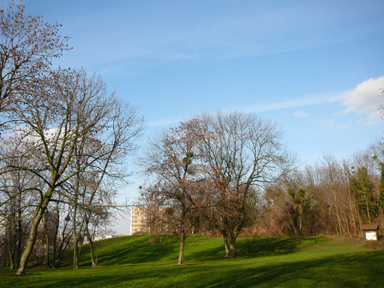 Montreuil Parc des Beaumonts