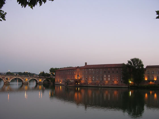 Toulouse La Garonne at Night
