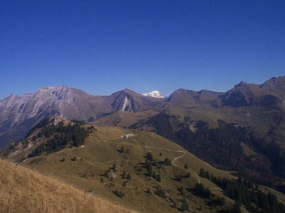 view on the Mount Blanc in the Summer