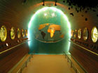 Musee Aquarium