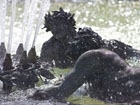 Poster of a Fountain in the Parc of Versailles