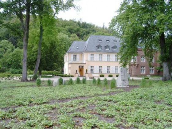 View on Merzig