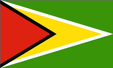 flag of Guyana