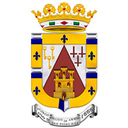 city of San Pedro Sula