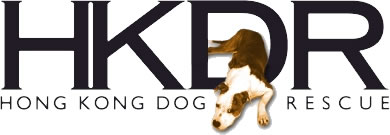 Hong Kong Dog Rescue by Victoria Noble de Heeren