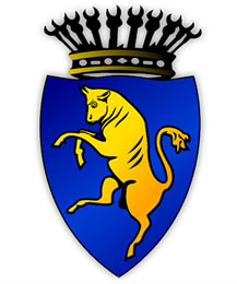 City of Turin - Comune Torino