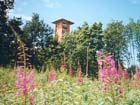 Tower on Mount Gaizinkalns, highest point of Latvia