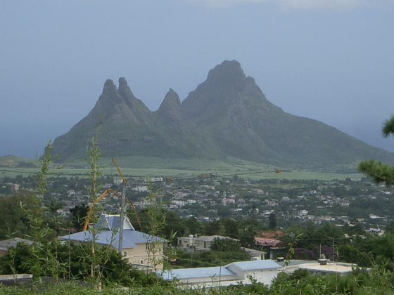 Chameau de Curepipe