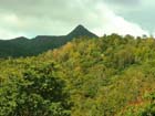 Piton de la Petite Riviere