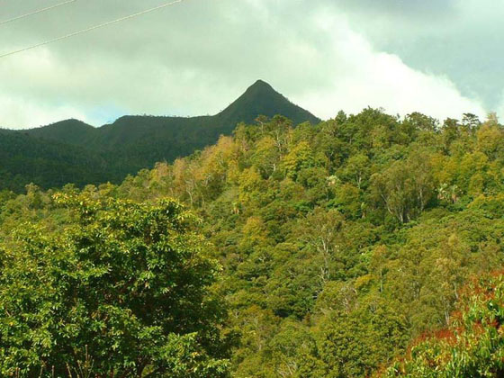 Piton de la Petite Riviere