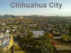 Pictures of Chihuahua