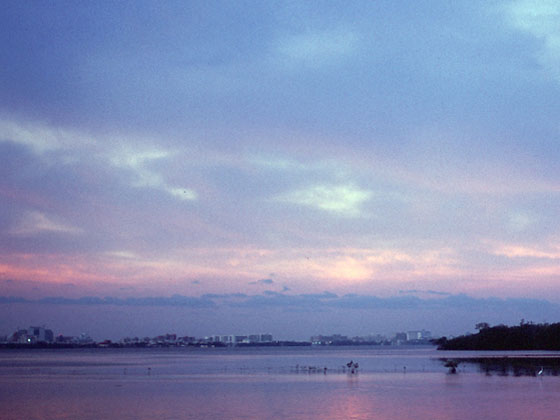 Riviear Maya at sunset