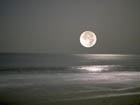 Buy Full Moon
