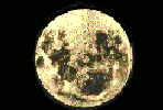 Phonebook of the Moon.com