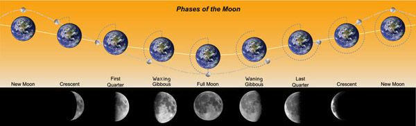 Phases of the Moon