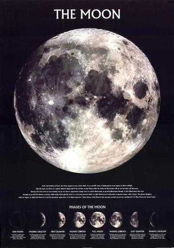 Buy Phases of the Moon