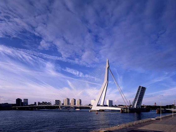 Erasmus Bridge Rotterdam
