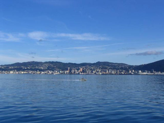 Wellington from the Sea