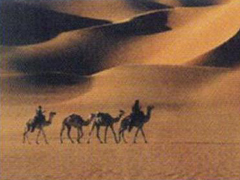 Buy Desert of Nigeria