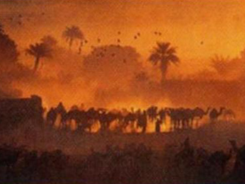 Buy Oasis de Fachi
