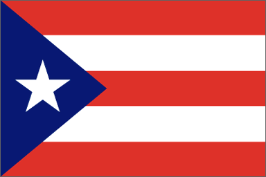flag of Quatar