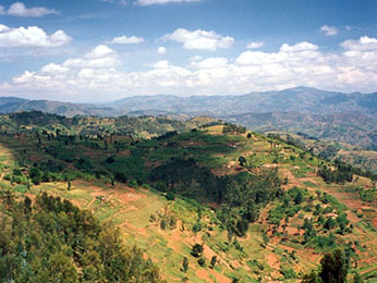 Rwanda Landscape