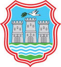 Website of the city administration of Novi Sad