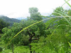 Loma Mansa, 1948 m, highest point of Sierra Leone