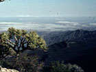 Shimbiris, 2450m, highest mountain of Somalia