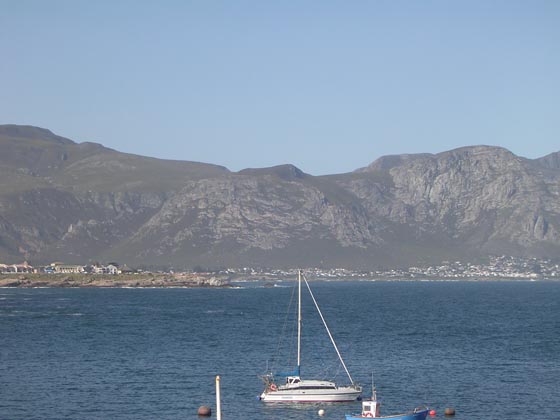 Hermanus