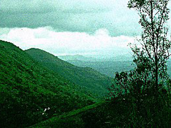 Hills