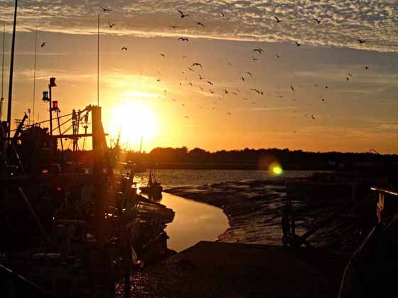Kings Lynn