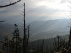 Cheaha Mountain 733m, highest point of Alabama