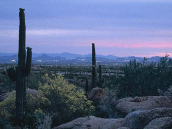 Phonebook of Phoenix.com