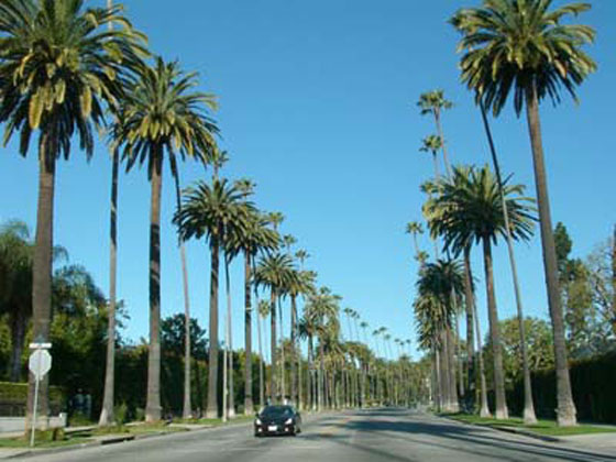 Rodeo Drive Beverly Hills