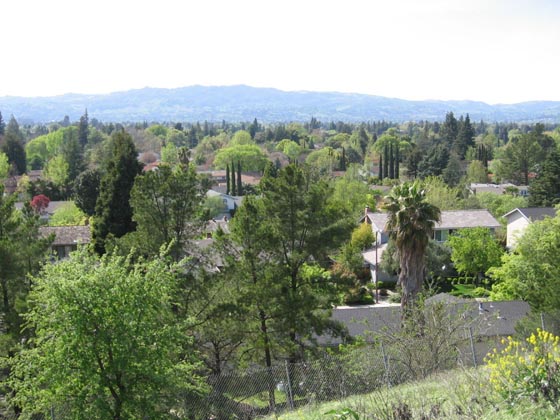 View on Concord