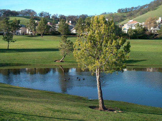 View of Fairfield